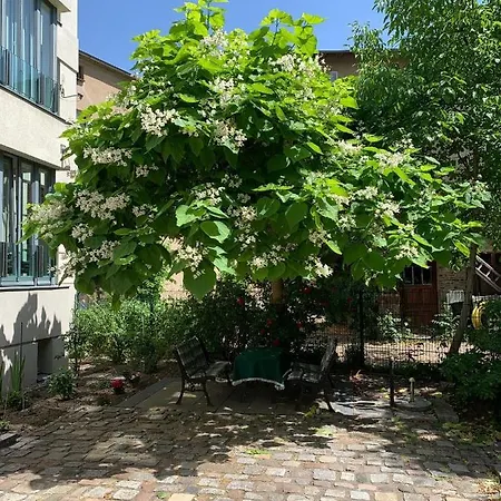 Boarding-potsdam Apart Otel 4*