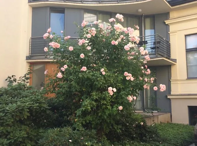 Boarding-potsdam 4* Potsdam