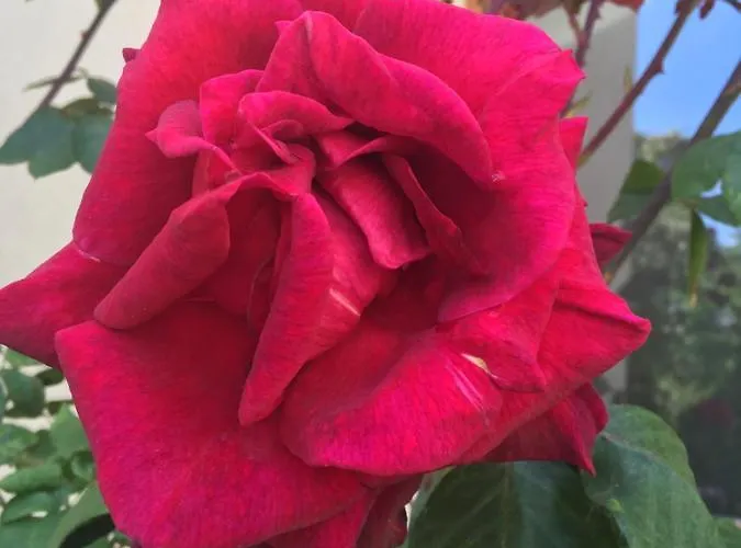 Apart-hotel Boarding-potsdam Potsdam