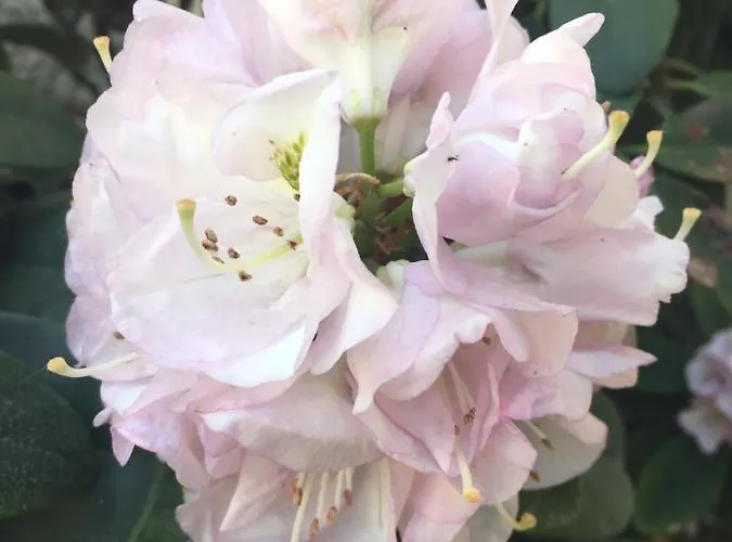 Boarding-potsdam Apart-hotel Potsdam