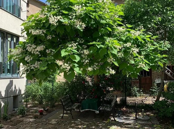 Boarding-potsdam Apart-hotel 4*