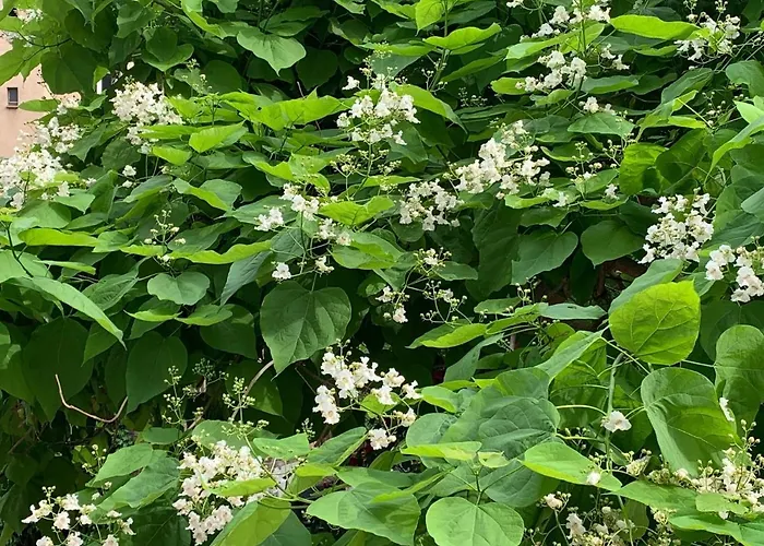 Apart-hotel Boarding-potsdam Potsdam